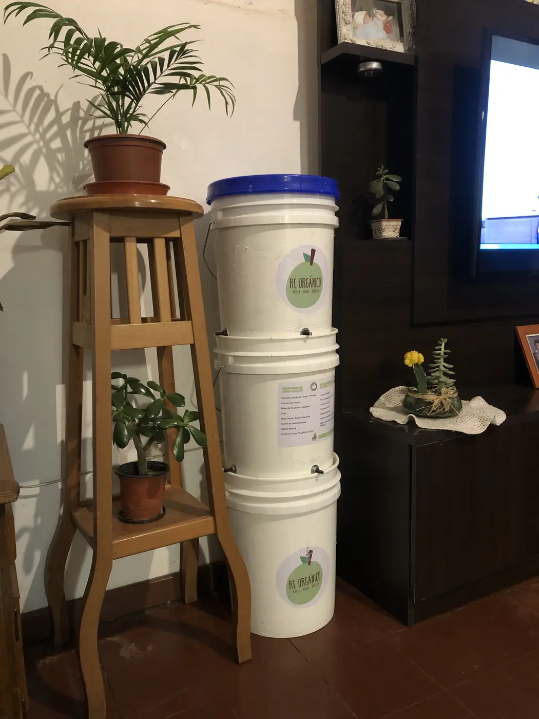 Vermicompostera Re Orgánico instalada en el hogar