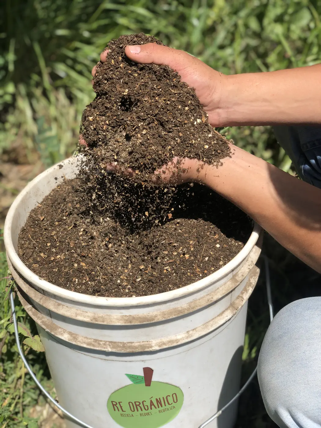 Humus de lombriz producido con una vermicompostera Re Orgánico