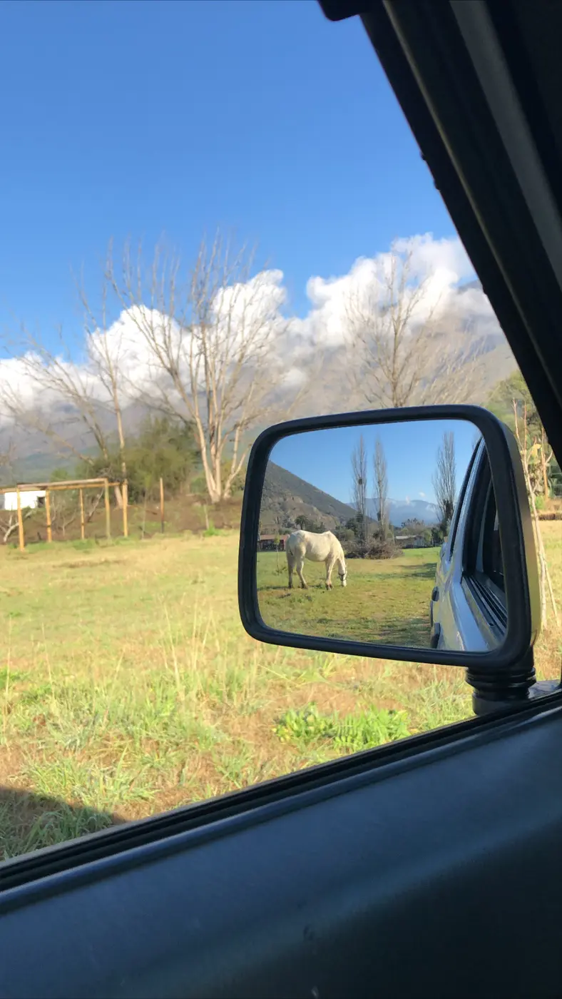 Recorrido de Re Orgánico por el campo